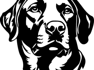 Labrador Sticker – Zwart of Wit - Variant 1