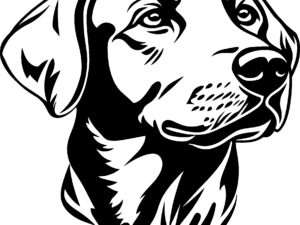 Labrador Sticker – Zwart of Wit - Variant 4