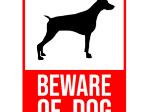 Beware of the dog