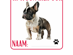 Franse bulldog - Veiligheidssticker - 10x10