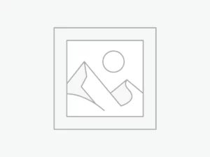 Honden veiligheidssticker